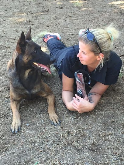Deschutes K9 Training Solutions LLC