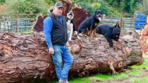 Marvin Pierce Dog Teacher LLC