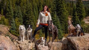 Flash Dog Training, LLC