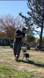 Smart Paws Academy