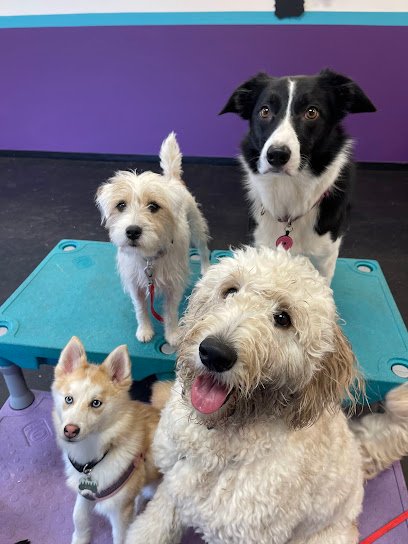 Wags n Wisdom Dog Training