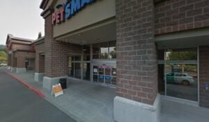 PetSmart Dog Training