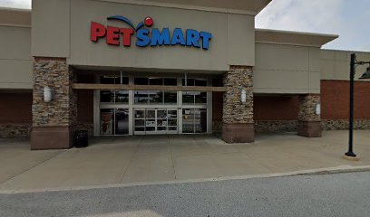 PetSmart Dog Training