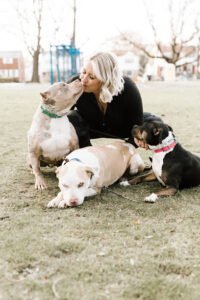 Everywhere Dog Training