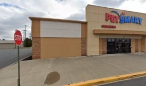 PetSmart Dog Training