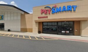 PetSmart Dog Training