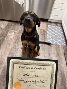 Raise Your Right Paw Dog Training