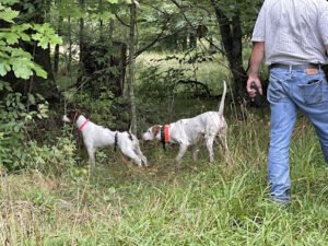 Watered Up Kennel LLC