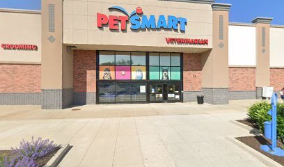 PetSmart Dog Training