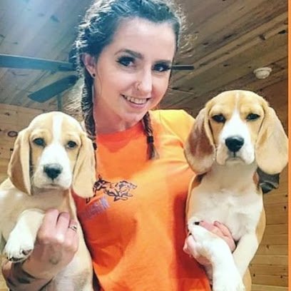 Happy-Go-Lucky Hounds LLC