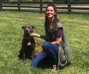 Private Dog Training in Your Home by Guidance Dog Training