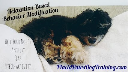 Placid Paws Dog Training