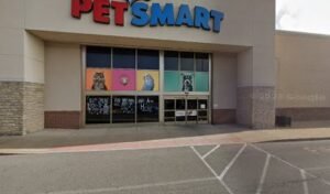 PetSmart Dog Training