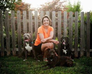 REHAB Dog Training LLC