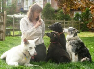 Bad Dog Good Dog Trainer