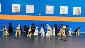 Simplistic Dog Training LLC