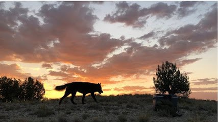 Holistic K-9 Solutions