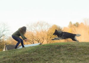 Mountain Adventures K9 Academy