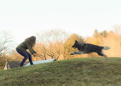 Mountain Adventures K9 Academy