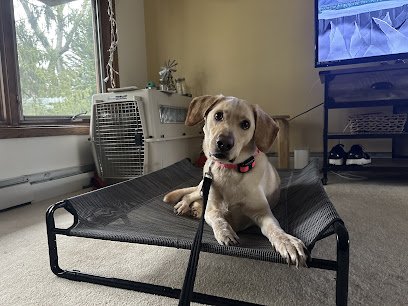 The Cultured Canine LLC