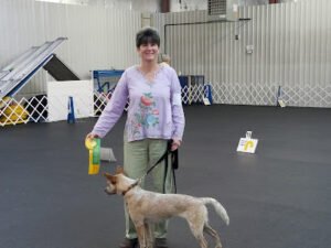 Golden Triangle Obedience