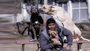Stronghaus Dog Training Center