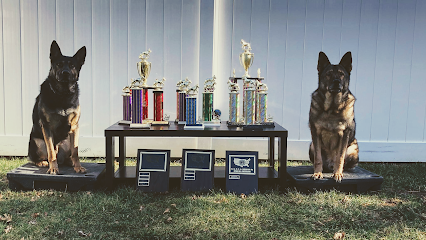 Master K9 Dog Training