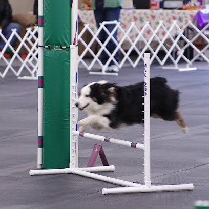 Family Dog Obedience