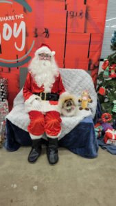 PetSmart Dog Training