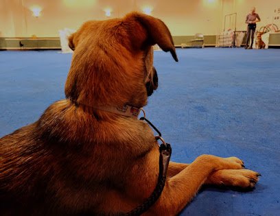 Dog Training Center of Chester County
