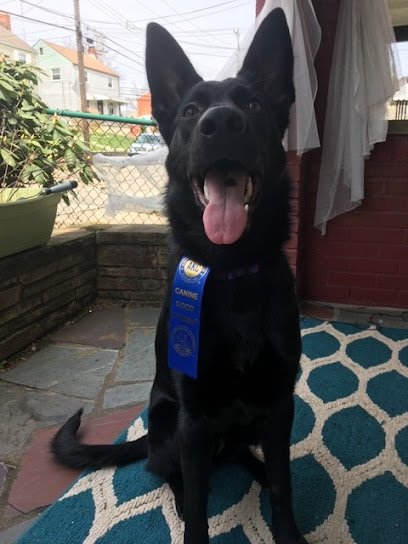 Xcel Canine Training Center Inc