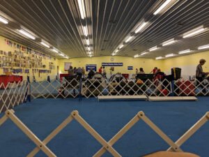 Papillonia Dog Training Academy
