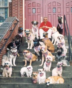 Mr O’s The Dog Training Place