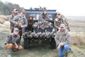 Pond Hollow Chesapeake Bay Retrievers