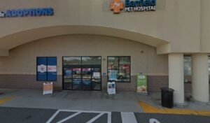 PetSmart Dog Training