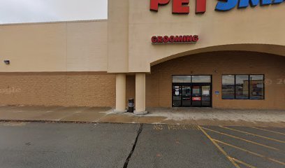 PetSmart Dog Training