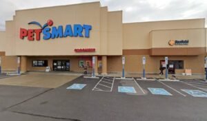 PetSmart Dog Training