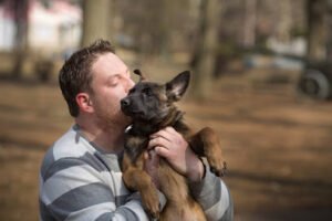 Mannerly Canine