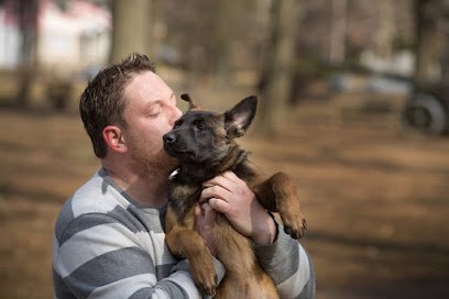 Mannerly Canine
