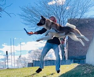 Safe K-9 Training RI, LLC