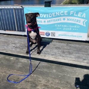 Chase K9 Services