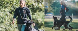 Ridgeside K9 Summerville Dog Training