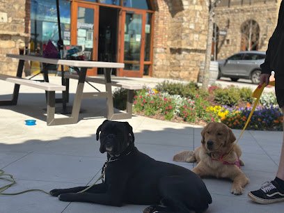 Brittani’s Pawsitive Dog Training, LLC