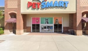 PetSmart Dog Training