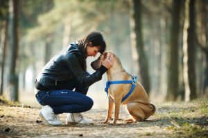 Service Dogs for Veterans