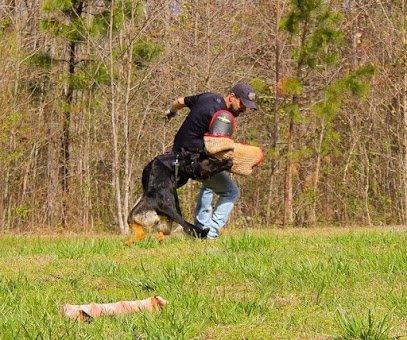 Full Armor K9S Dog Trainer and Breeder