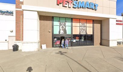 PetSmart Dog Training