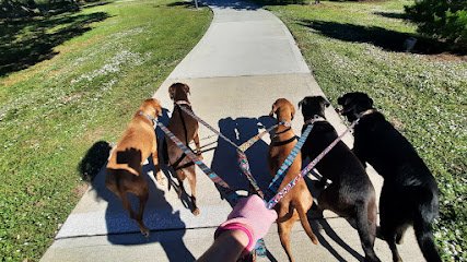Puppy Play, LLC