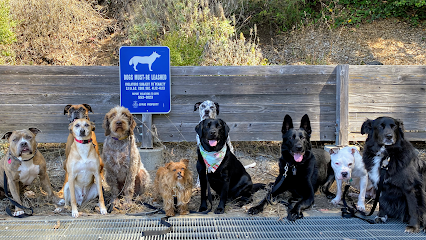 Mighty Dog Services