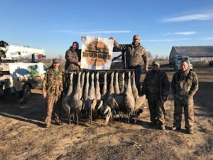 Southern Knights Retrievers